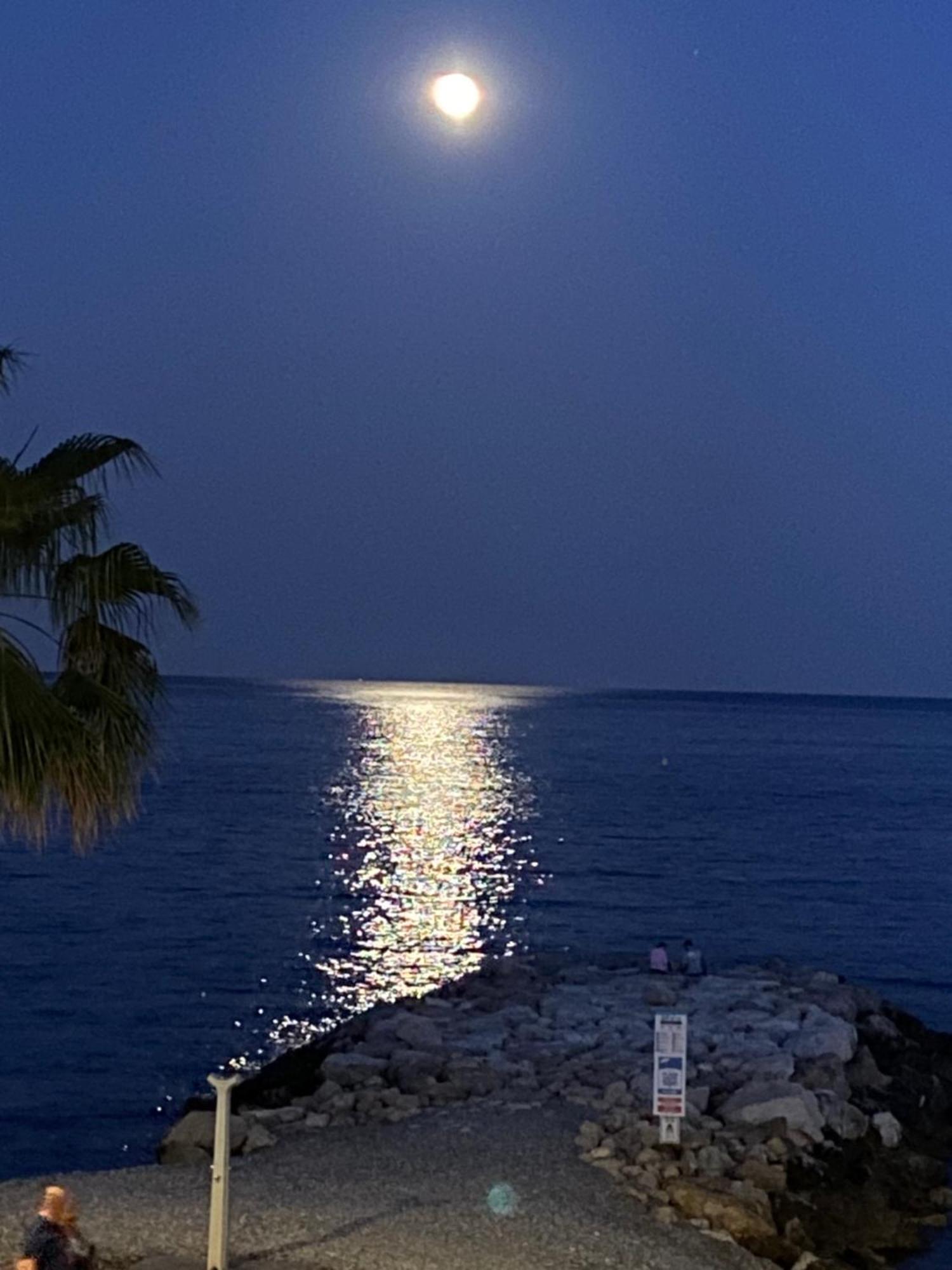 Apartment O Phare Du Cros Cagnes-sur-Mer